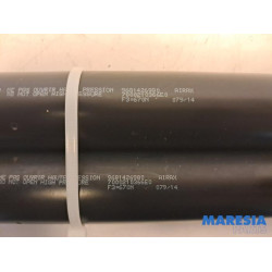 Citroen - Berlingo - Set of tailgate gas struts