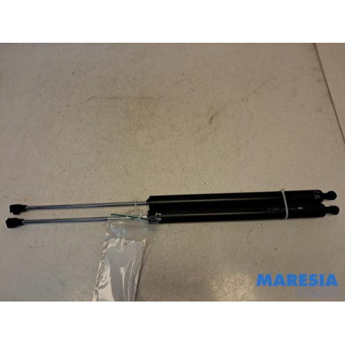 Citroen - Berlingo - Set of tailgate gas struts