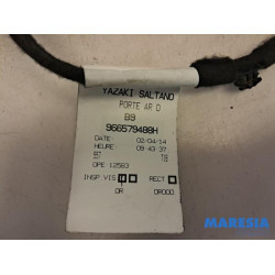 Citroen - Berlingo - Kabelboom