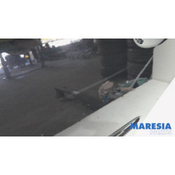 Peugeot - 207 - Portier 4Deurs links-achter