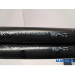 Peugeot - 308 - Set of tailgate gas struts