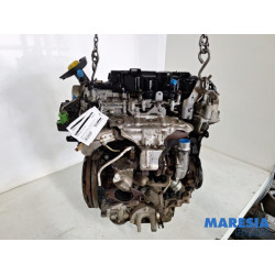 Opel - Movano - Engine