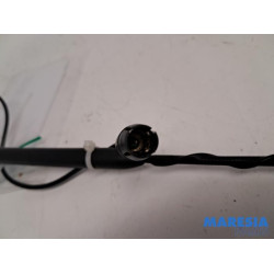 Fiat - 500 - Antenne
