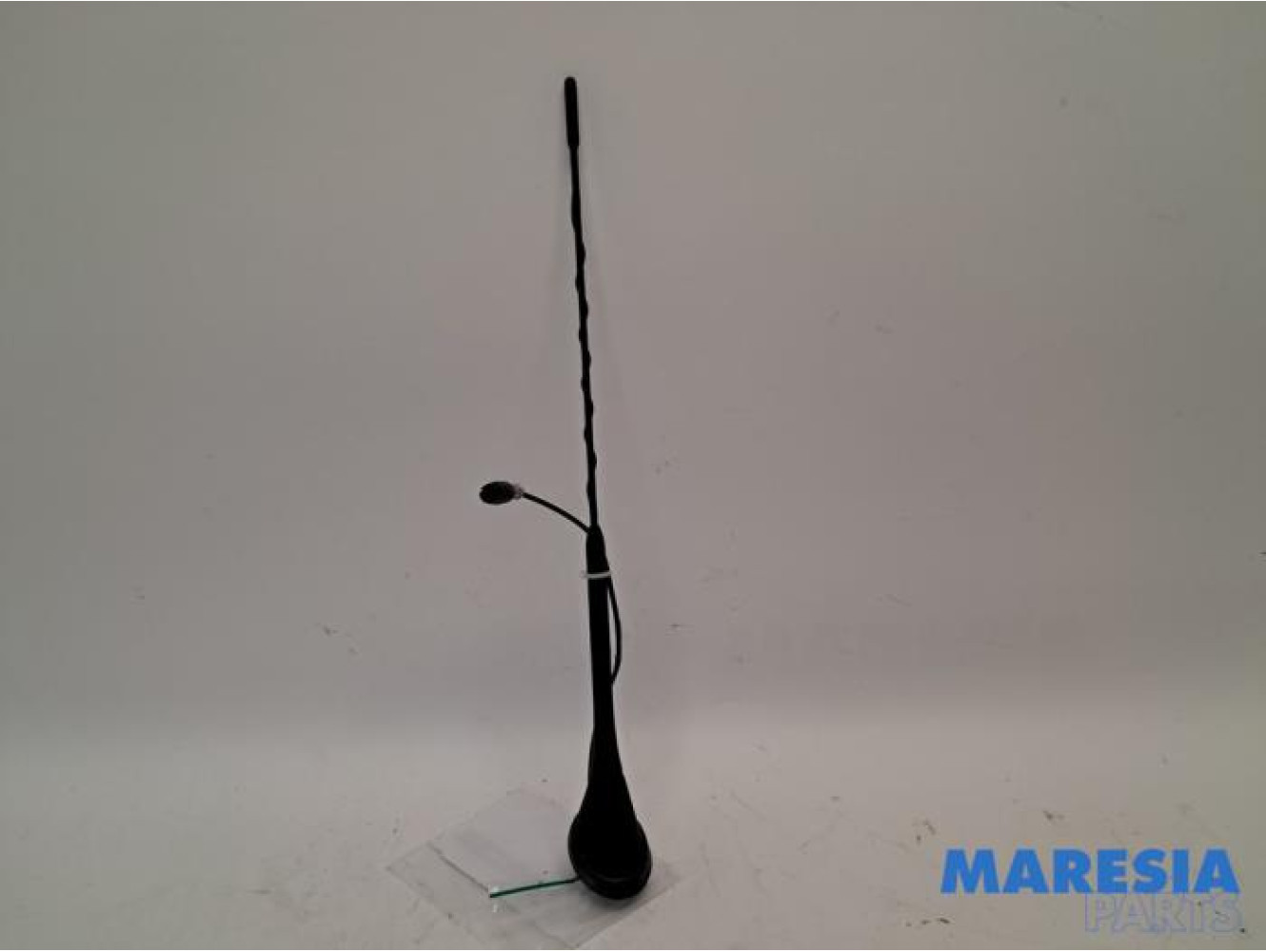 Fiat - 500 - Antenne