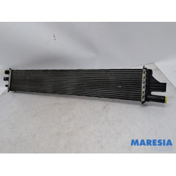 Opel - Movano - Radiateur