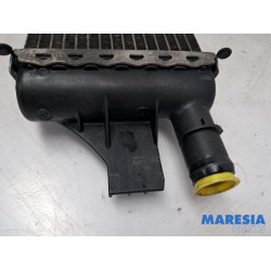Opel - Movano - Radiateur
