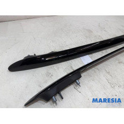 Citroen - C4 Cactus - Dachreling Set