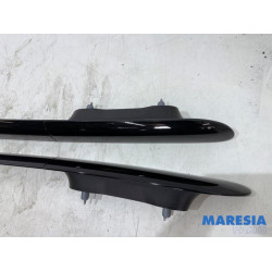 Citroen - C4 Cactus - Dachreling Set