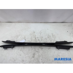 Citroen - C4 Cactus - Dachreling Set