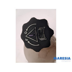 Peugeot - 207 - Expansion vessel