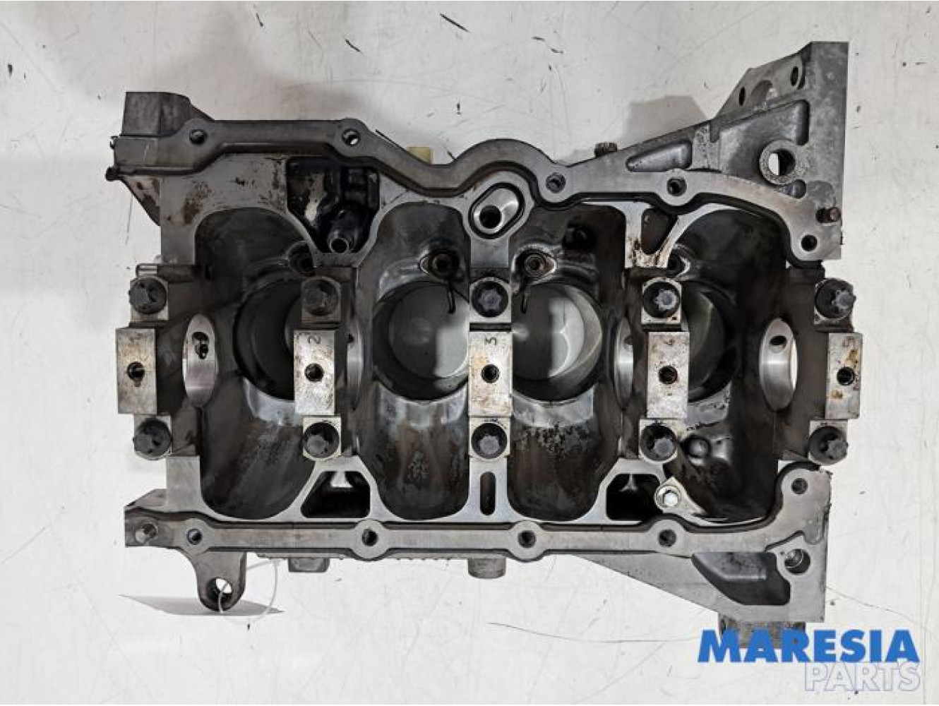 Renault - Grand Scenic - Motor Unterblock