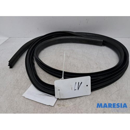 Renault - Twingo - Front door seal 4-door, left