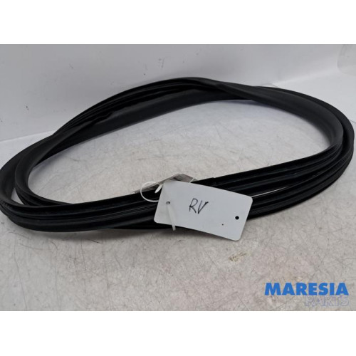 Renault - Twingo - Front door seal 4-door, right