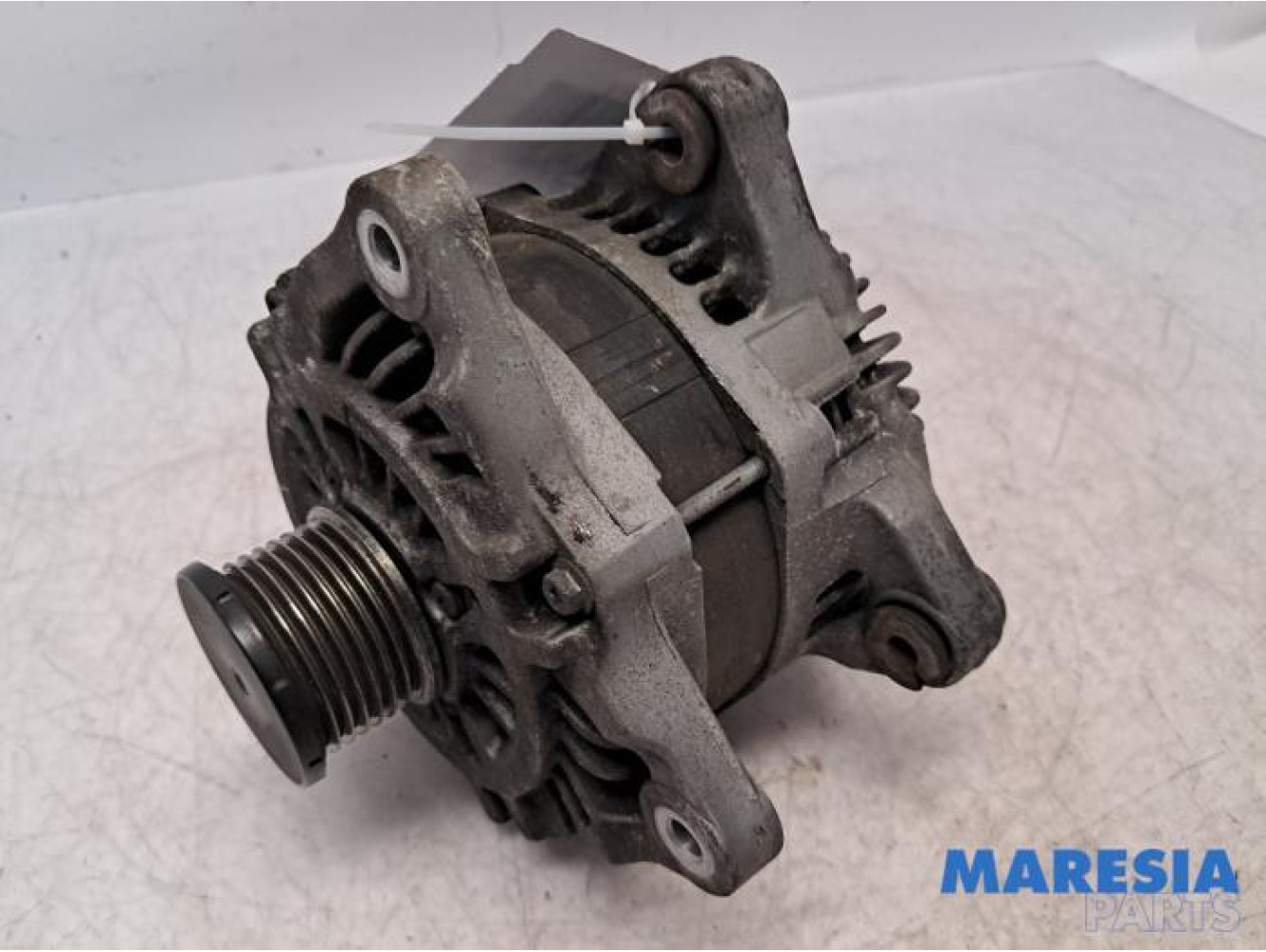 Renault - Master - Dynamo