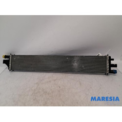 Renault - Master - Radiator