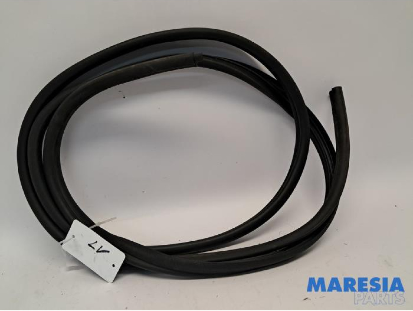 Renault - Master - Door seal 2-door, left