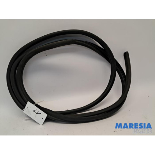 Renault - Master - Door seal 2-door, left