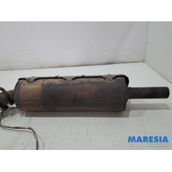 Peugeot - 307 - Catalyseur