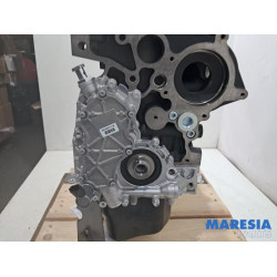 Fiat - Ducato - Motor