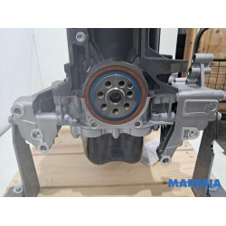 Fiat - Ducato - Motor