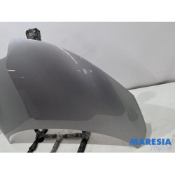 Renault - ZOE - Motorkap