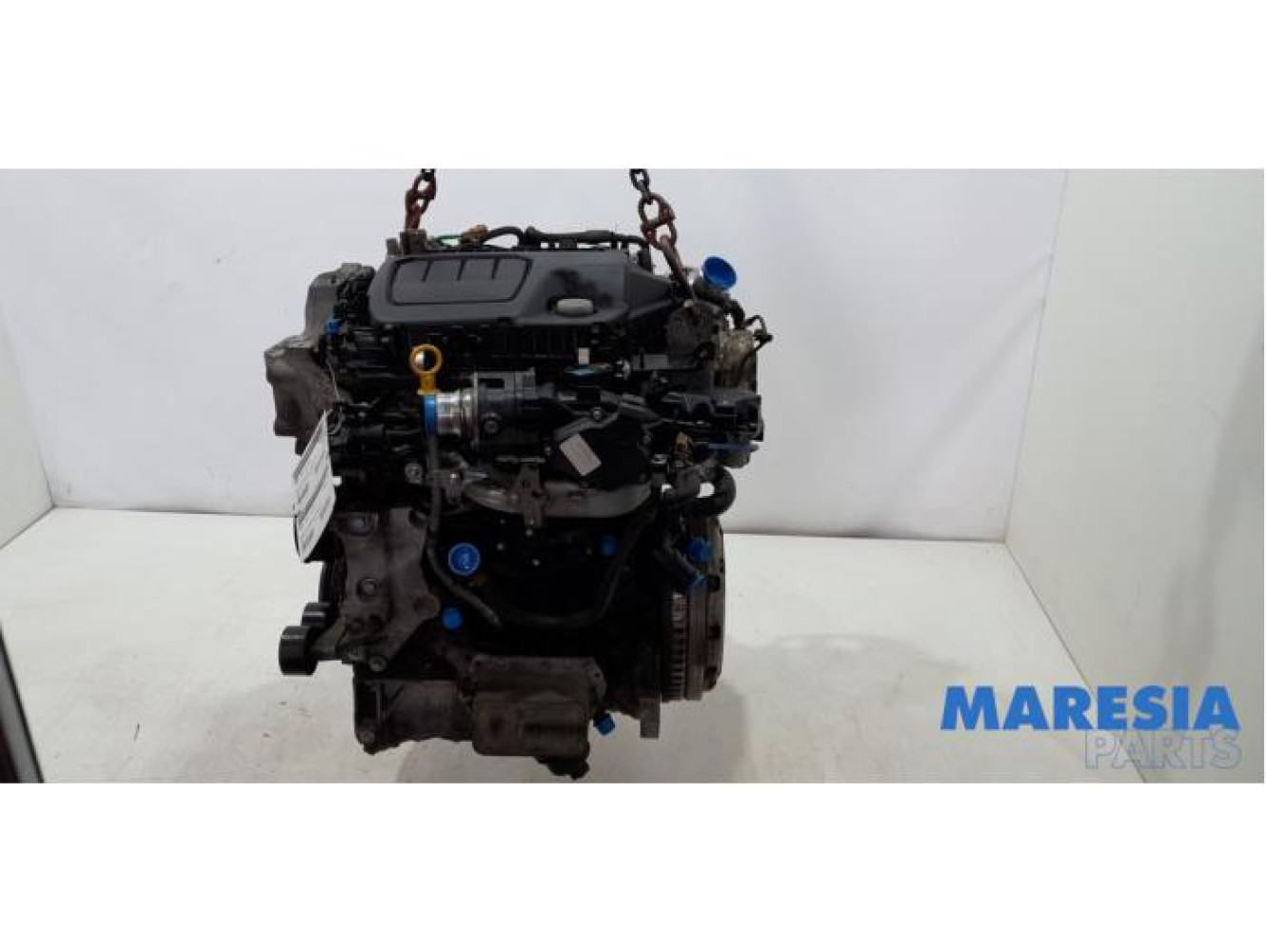 Renault - Trafic - Motor