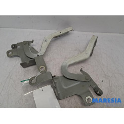 Renault - Clio - Bonnet Hinge