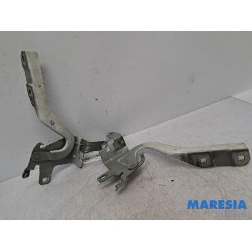 Renault - Clio - Bonnet Hinge