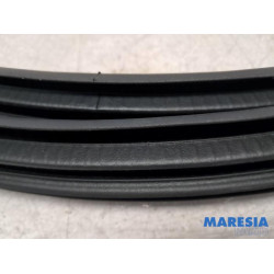 Renault - Clio - Front door seal 4-door, left