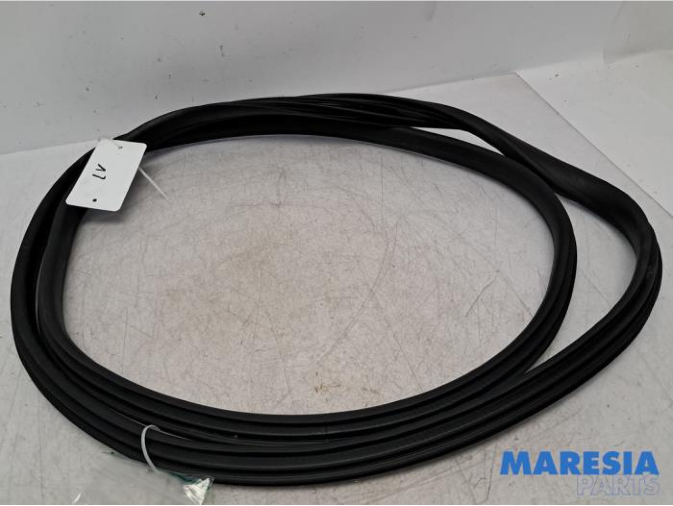 Renault - Clio - Front door seal 4-door, left