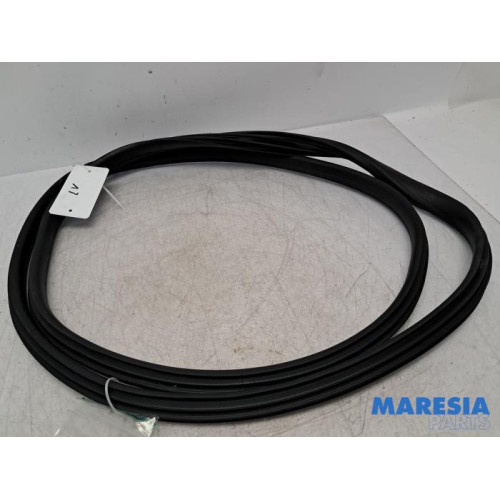 Renault - Clio - Front door seal 4-door, left