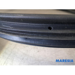 Renault - Clio - Portierrubber 4Deurs links-achter