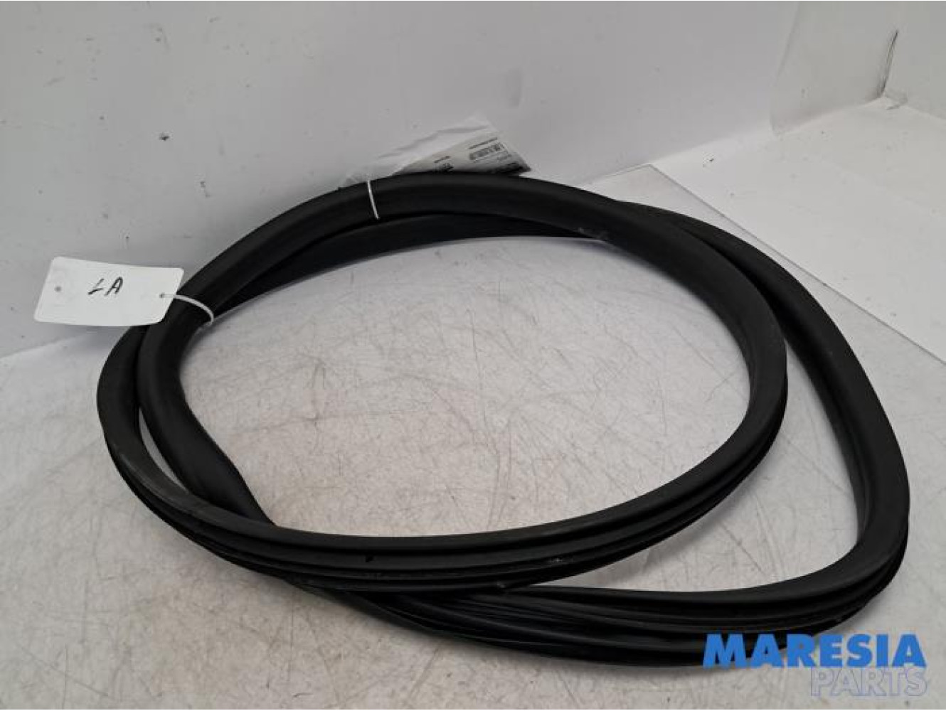 Renault - Clio - Portierrubber 4Deurs links-achter