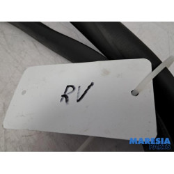 Renault - Clio - Front door seal 4-door, right