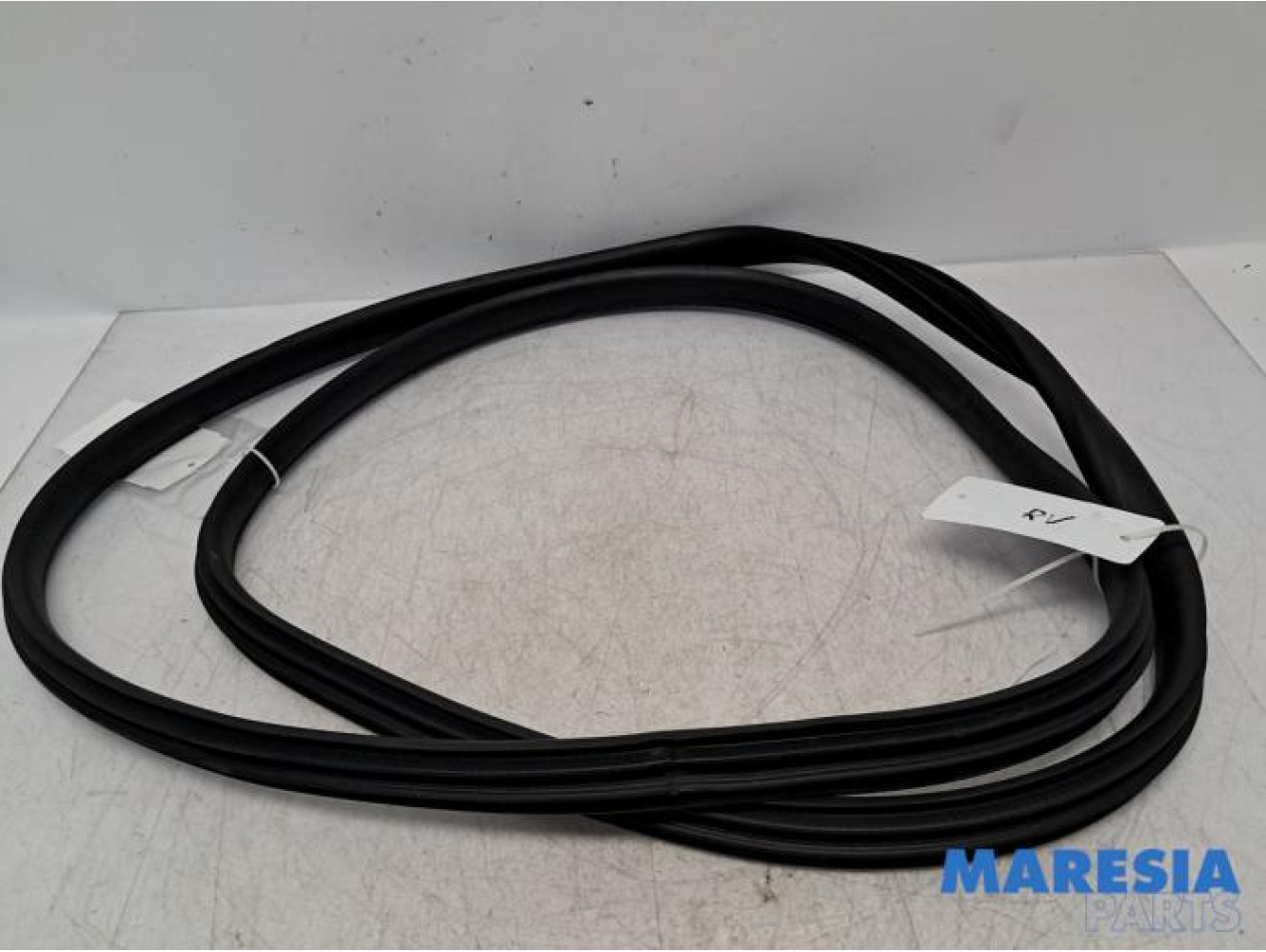 Renault - Clio - Front door seal 4-door, right