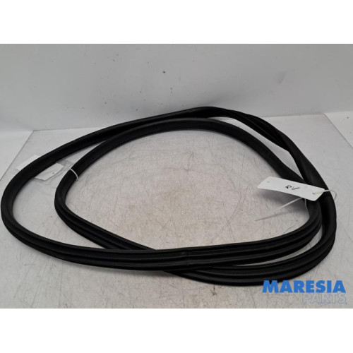 Renault - Clio - Front door seal 4-door, right