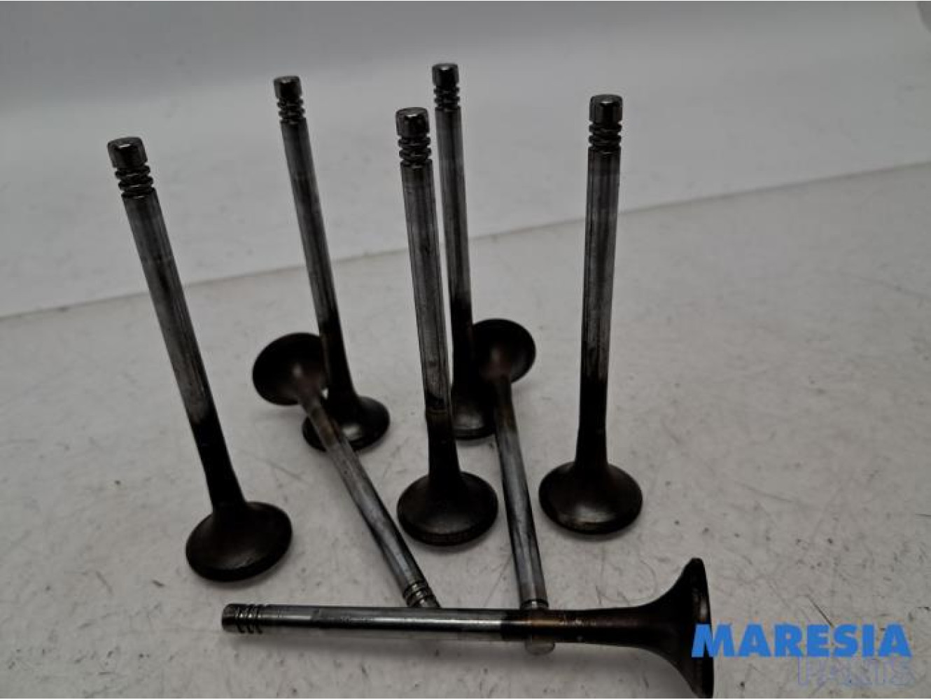 Citroen - Jumpy - Exhaust valve