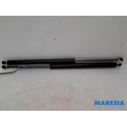 Citroen - Berlingo - Set of tailgate gas struts