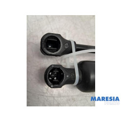 Citroen - Berlingo - Set of tailgate gas struts