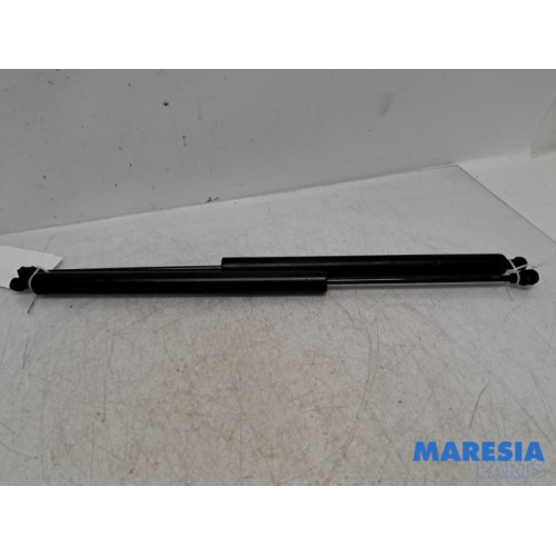Citroen - Berlingo - Set of tailgate gas struts