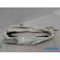 Citroen - C4 Cactus - Airbag hemel links