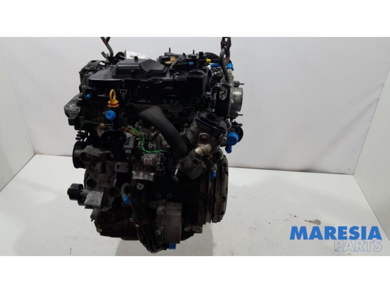 Opel - Movano - Moteur