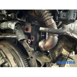 Opel - Movano - Motor