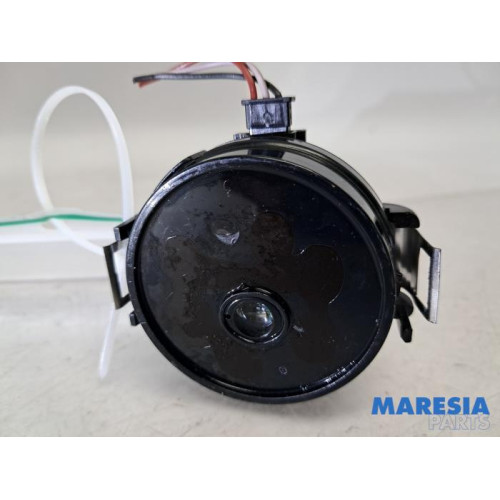 Renault - Clio - Rain sensor