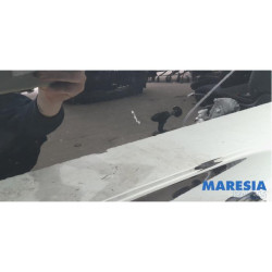 Renault - Megane - Front door 4-door, right
