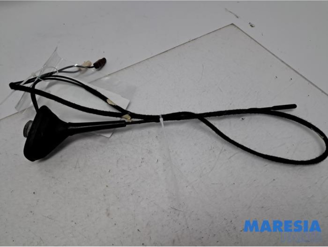 Renault - Clio - Antenne