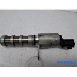 Renault - Clio - Nokkenas Verstelling