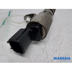 Renault - Clio - Nokkenas Verstelling