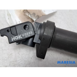 Citroen - DS3 - Stift Zündspule