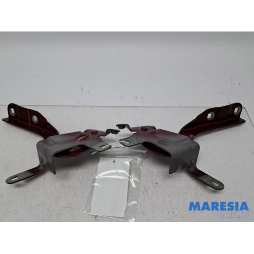 Renault - Clio - Bonnet Hinge